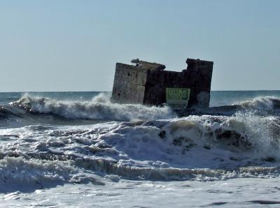 Прикрепленное изображение: DSCF7988.jpg